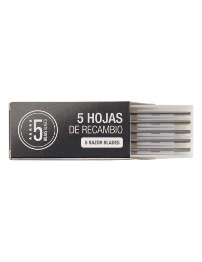 Replaceable blades for the professional Termix Styling Razor